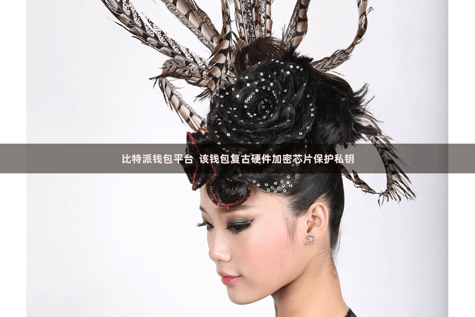 比特派钱包平台  该钱包复古硬件加密芯片保护私钥