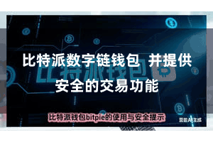 比特派数字链钱包  并提供安全的交易功能